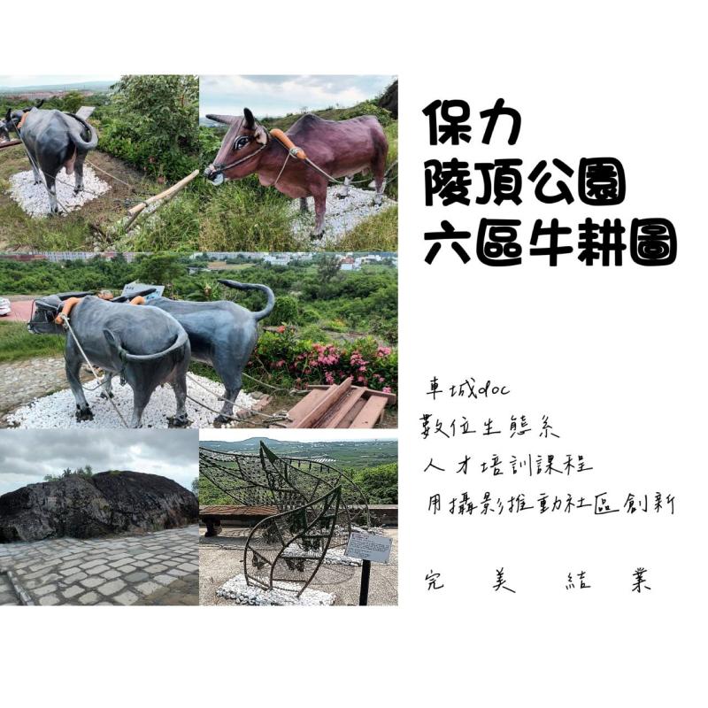 陵頂公園牛耕區拼圖海報製作成果