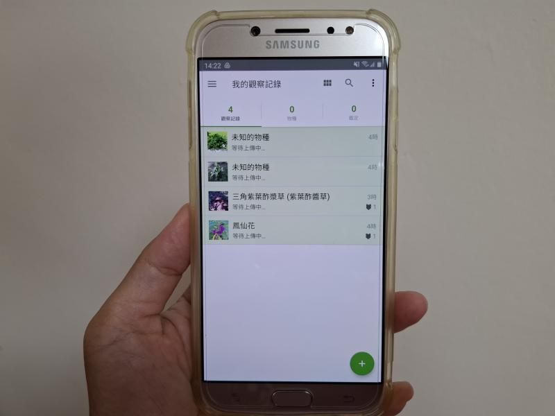 學員嘗試使用植物辨識APP完成一份植物辨識紀錄