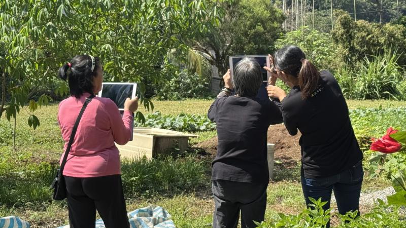 講師帶著學員到戶外練習使用Google Lens辨識植物與昆蟲