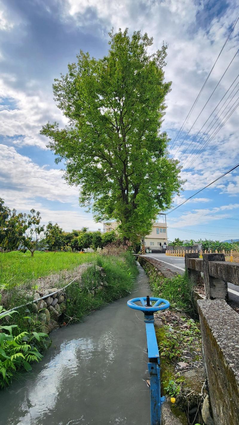 手機攝影課程作品3