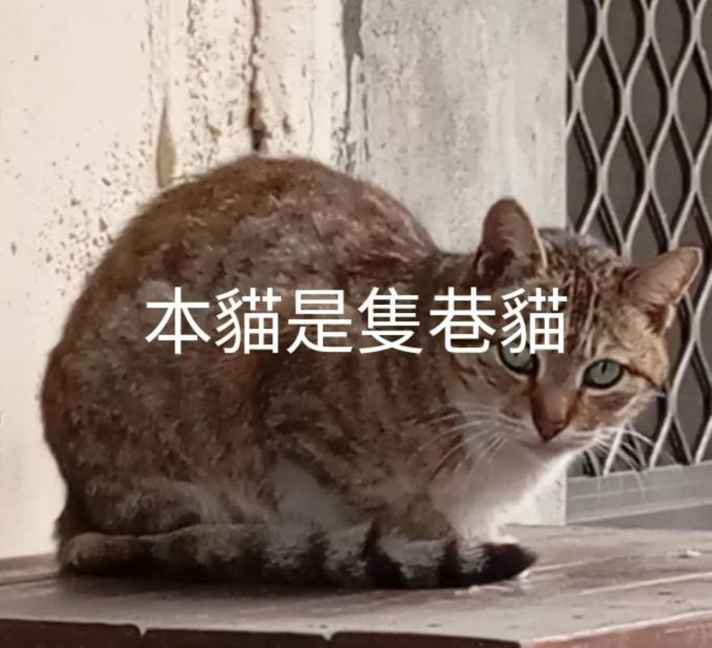 開心地完成一堂課程