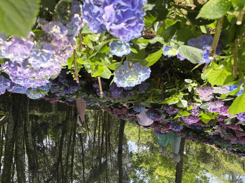 選擇適合的拍照地點讓學員練習