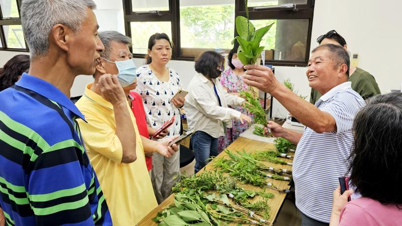 講師帶來許多常見雜草，教學員觀察植物的重點要素。