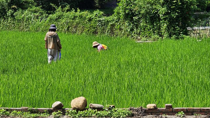 學員透過 APP 在田間尋找與紀錄。