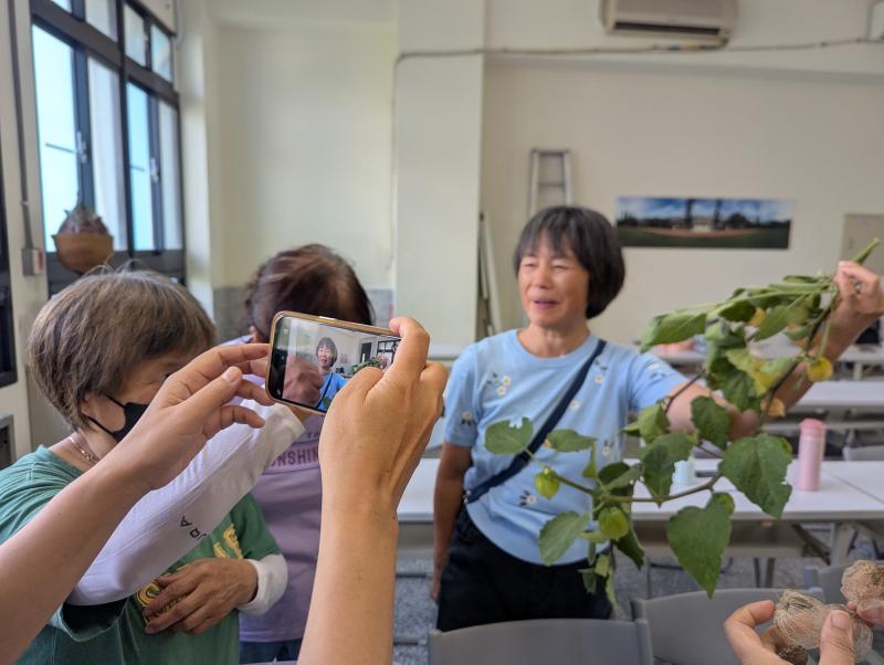 大家爭相拍攝燈籠果