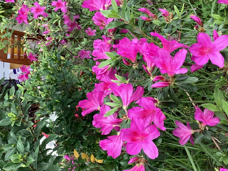 校園風景練習拍攝紀錄