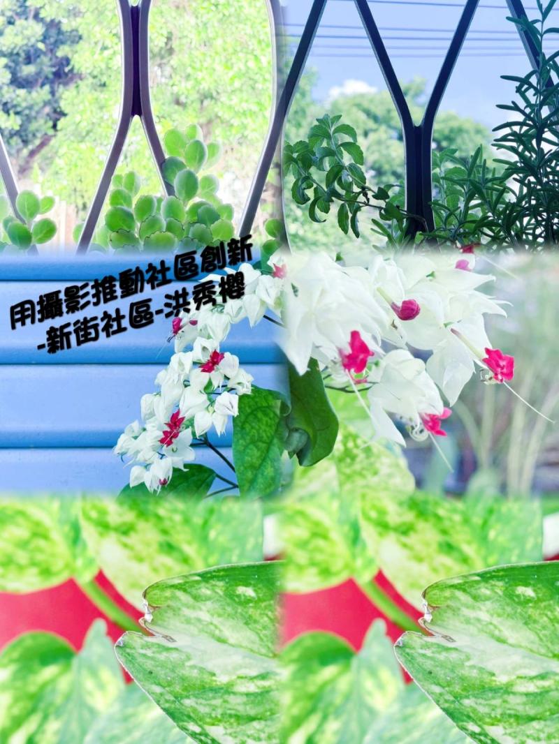 學習照片拼貼功能運用-無縫模板成果作品