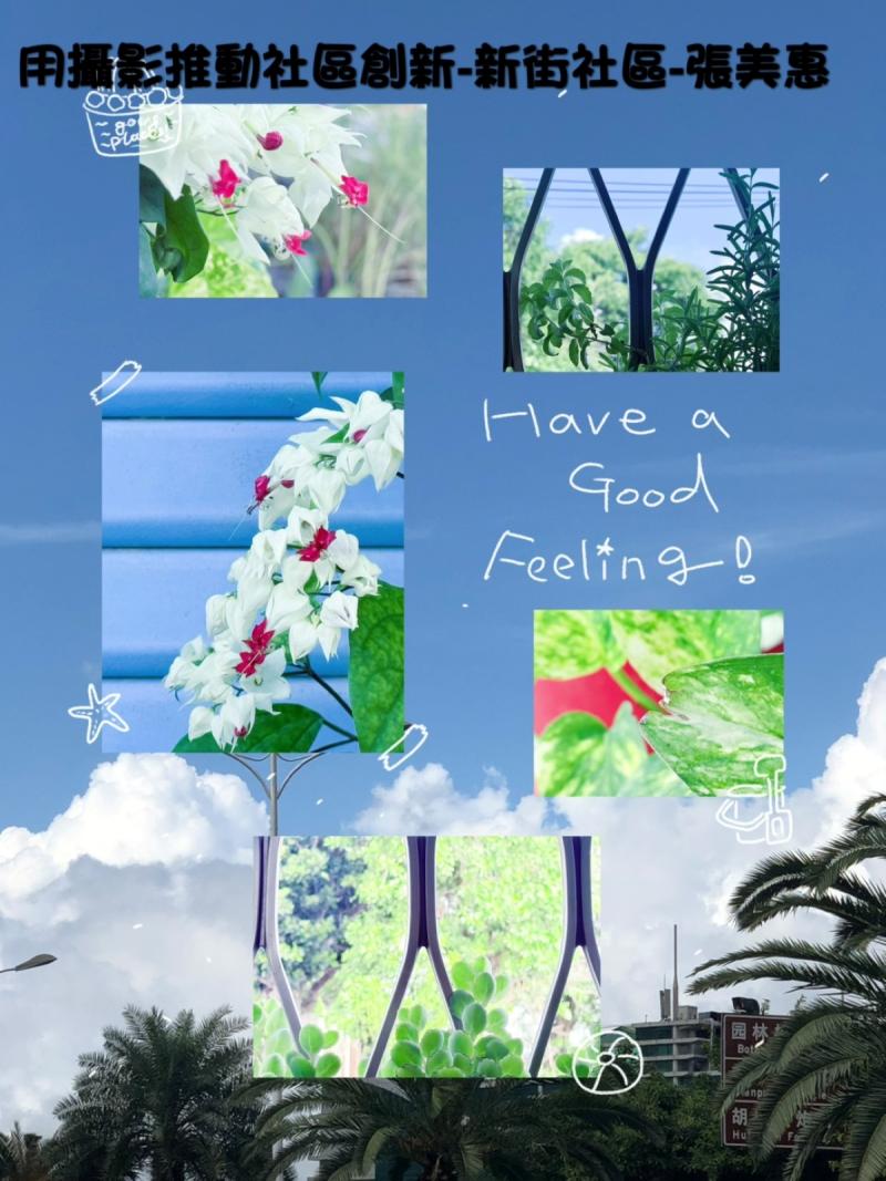 不論是何種編輯模式都是需要嘗試，找到滿意的方式即可。