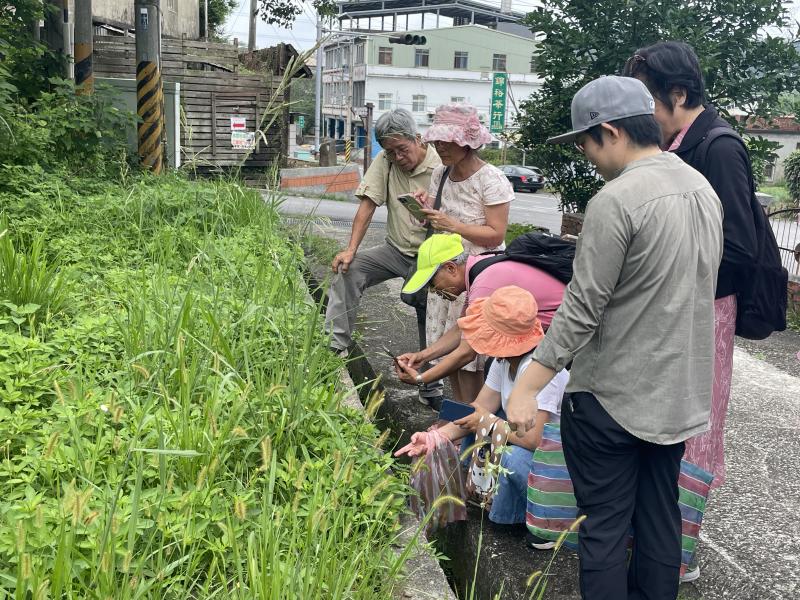 學員觀察雜草