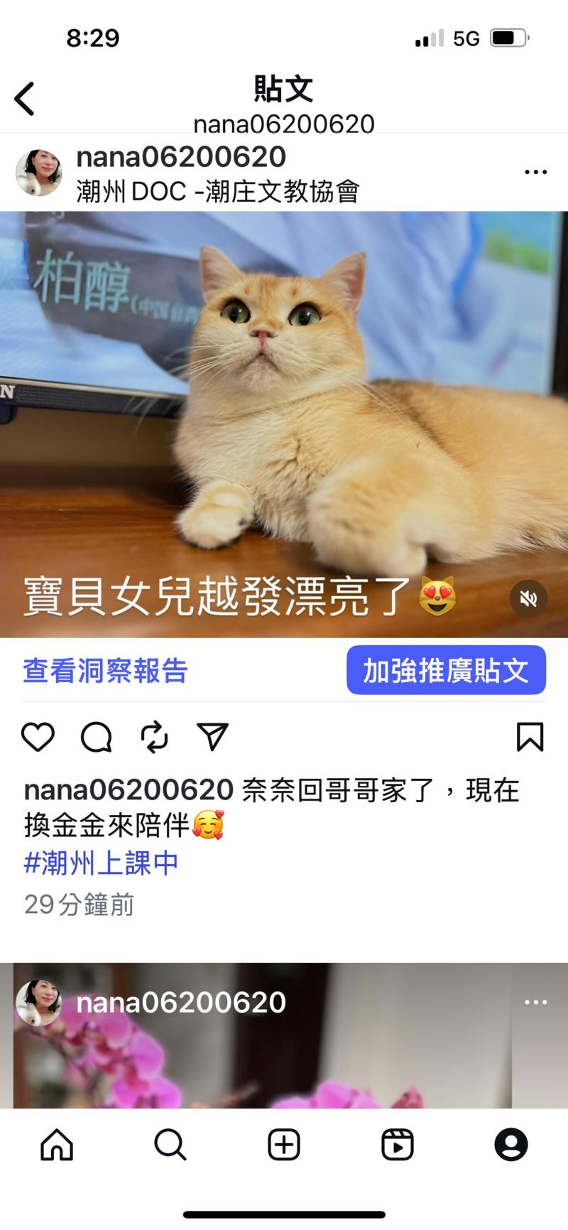 學員季芸：的作品是家裡的寶貝貓咪女兒介紹，從LOGO、文字到圖片風格都自己設計，呈現專屬風格與溫度。