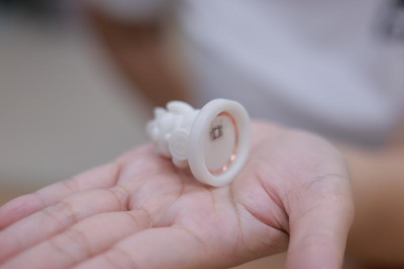 晶片置入與封膜