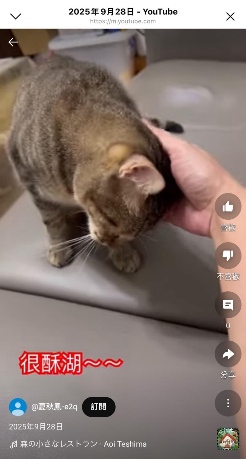 自己打上字幕和加上音樂~好有成就感!