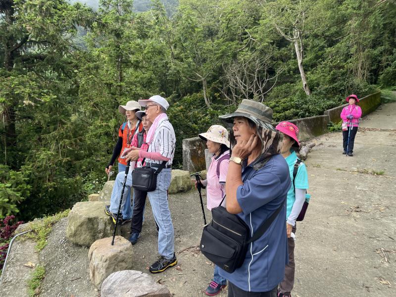 等待黃頭鷺經過