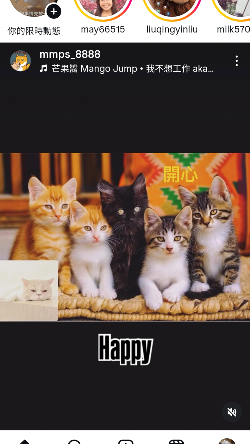 學員於課程中操作 Instagram REEL 編輯功能所完成之短片。學員透過手機進行影片剪輯，加入文字說明與視覺排版，並搭配音樂。完成後之影片已儲存於個人帳號中，作為社群分享與數位創作的成果展示。