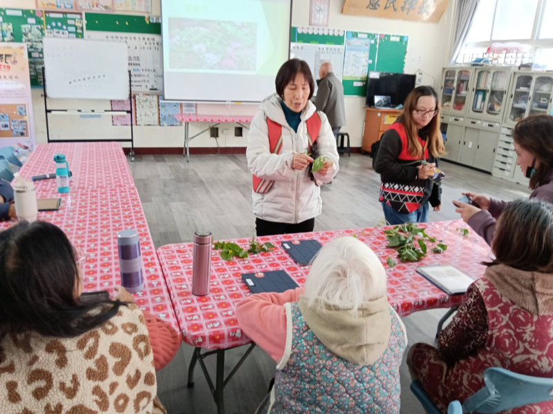 課程中，講師向學員介紹過去賽德克族常食用的野菜種類及其營養價值，並分享早期部落生活中採集與食用野菜的經驗。