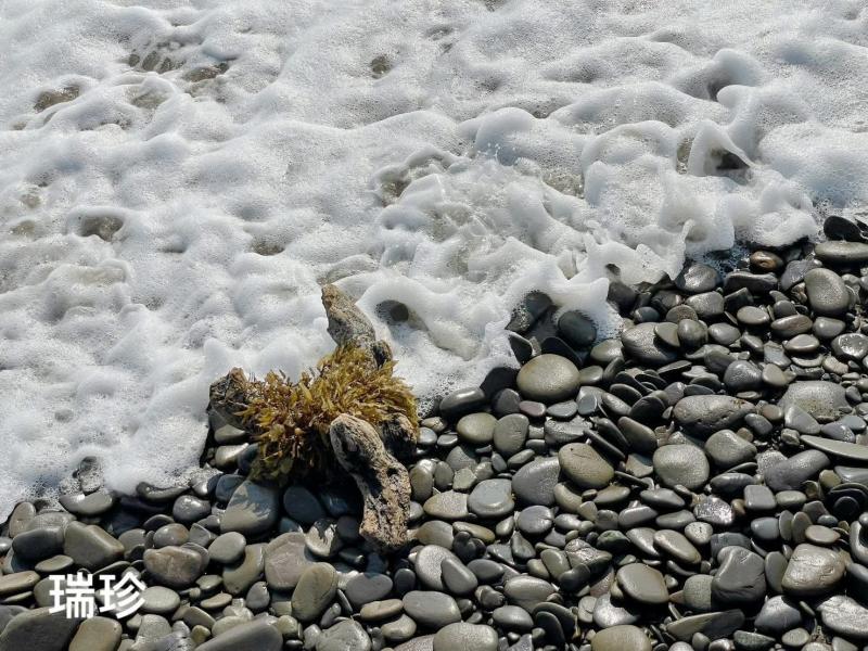 光 在畫面中的情緒鋪陳