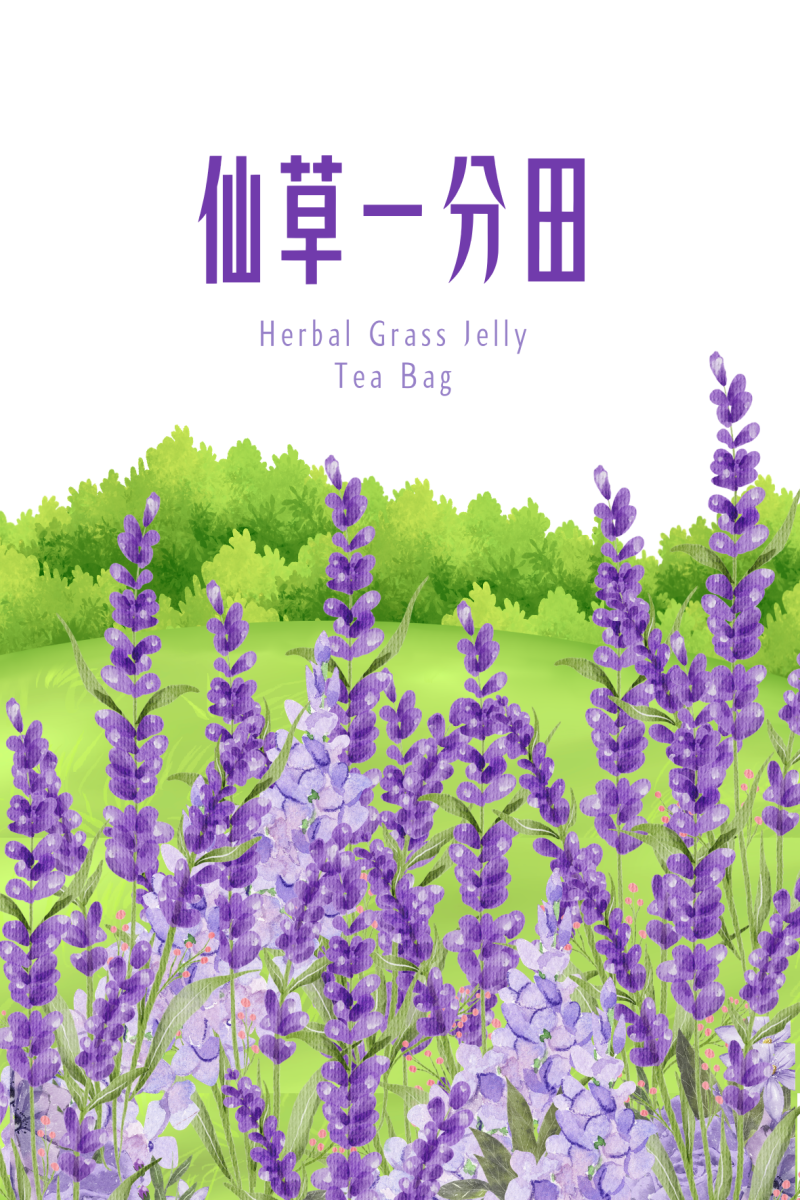 學員的包裝設計創作