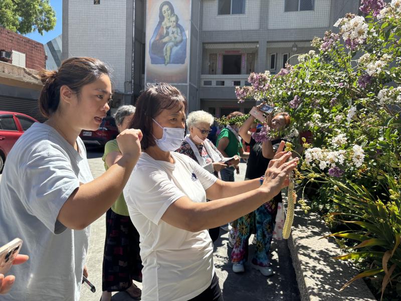 學員依講師教的九宮格使用手機練習照相