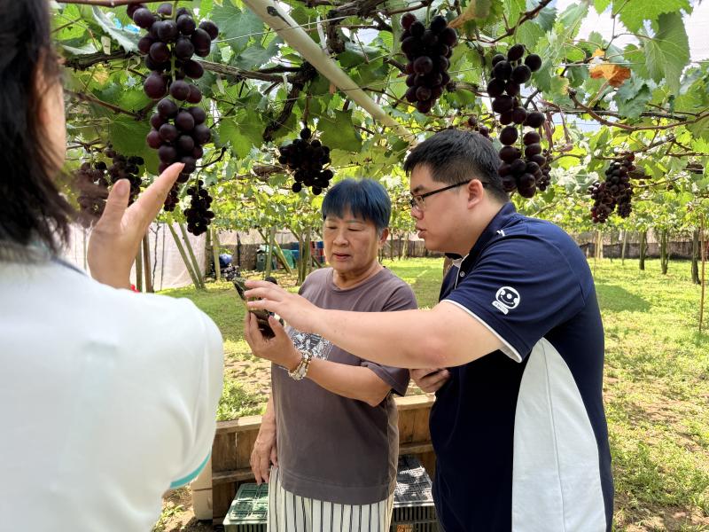 講師帶領學員走出教室,進行現地測試與實際試玩。學員手持手機,依照闖關指示前往不同地點,並搭配導覽人員的現場解說,一邊完成任務,一邊聆聽地方故事。