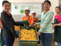 三光五月桃做公益 與弱勢學童分享甜美滋味