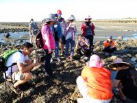 扮演公民記者學數位科技　紀錄通霄特色