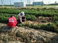 【將軍DOC】田園有機公益農場，把最好的留給下一代