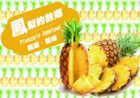 數位機會中心學員，結合資訊志工，推出「守旺禮盒」，秒殺有機鳳梨