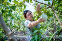 內埔DOC小農品牌e行銷