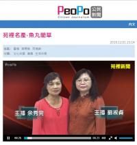 《PeoPo公民新聞 》 苑裡名產-魚丸藺草