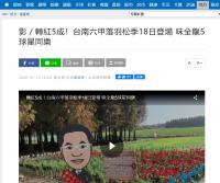 轉紅5成！台南六甲落羽松季18日登場 味全龍5球星同樂