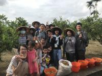 【新浪新聞網】崑大公廣系「棗安少女」探索全台唯一紅棗之鄉　挖掘客庄風情