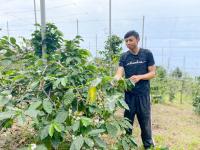 晶品，東海岸鹹香咖啡