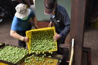 公益線上推，龍安DOC助前行