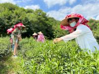 [台灣新生報]真大師生駐村 助三芝老梅社區構思觀光行銷策略