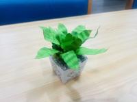 秀林數位機會中心提供課程 讓長者輕鬆學會專屬盆栽