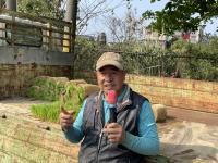 【TNEWS 聯播網】下田插秧學當農民 芎林 DOC 數位記錄農村美