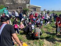 將軍區農會2025班芝花開蘿蔔庄園田園體驗活動登場